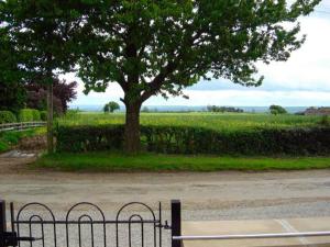 a tree and a fence in front of a field at Oak Tree Cottage in Kirkbymoorside