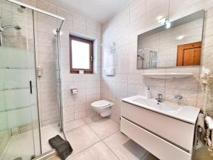 a bathroom with a toilet and a sink and a shower at B&B Brunnerhof in Feldthurns