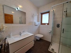 a bathroom with a sink and a toilet and a shower at B&B Brunnerhof in Feldthurns
