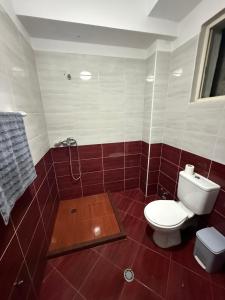 a bathroom with a toilet and a shower with red tiles at Ferit's Property Near Astir in Tirana +12 photos