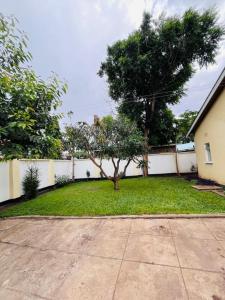 a yard with a tree in front of a fence at COZY NYUMBA in Arusha +18 photos