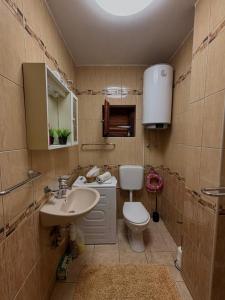 a bathroom with a toilet and a sink at Tina in Privlaka +13 photos