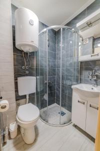 a bathroom with a shower and a toilet and a sink at Studio H&M in Užice +1 photo