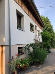 a building with flower boxes on the windows at Gite du Ried in Bischwiller