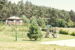 a playground with a tree and a swing at z widokiem na zalew in Sułomino