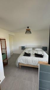 a bedroom with a bed with two black pillows on it at Maisonnette avec terrasse in Montauban