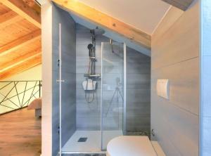 a glass shower in a bathroom with a toilet at Apartments Zanet & Niccolo in Fažana