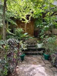 a garden entrance to a house with plants and stairs at Eco Mara Tented Camp in Ololaimutiek +27 photos
