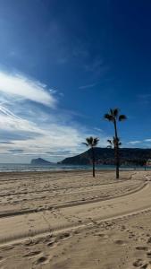 two palm trees on a sandy beach near the ocean at Mariola Vista Mar in Ifach