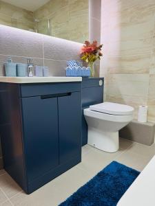 a bathroom with a blue sink and a toilet at The Milton Accommodation in Elgin +84 photos