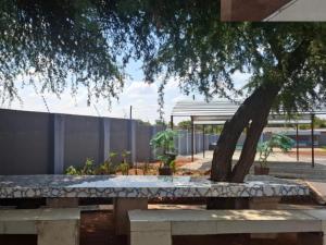 a tree sitting next to a bench next to a fence at Eden Villas Guesthouse in Kuruman