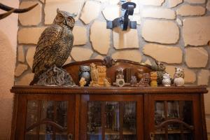 an owl sitting on top of a wooden cabinet at Góry Sowie Agroturystyka in Rzeczka