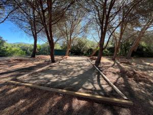 a group of trees with their shadows on the ground at Studio avec piscine SAINT FLORENT - FLO300-259 in Saint-Florent