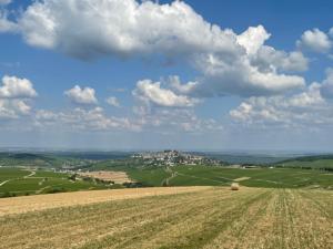 a field with a bale of hay on the horizon at Le Petit Sancerrois in Sancerre +1 photo