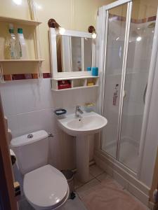 a bathroom with a toilet and a shower and a sink at ArPaMond in Château-Chinon +24 photos