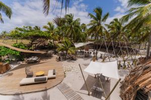 an aerial view of a beach with palm trees at Beco das Flores in Mata de Sao Joao