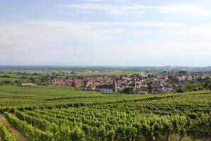 a view of a vineyard and a village in the distance at Ferienwohnung Familie Seuferle in Schweigen-Rechtenbach
