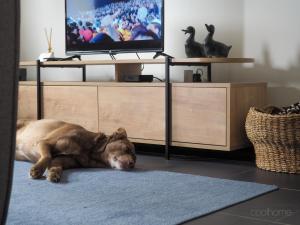a dog laying on the floor in front of a tv at 12 Casa d'Avó in Albergaria-a-Velha