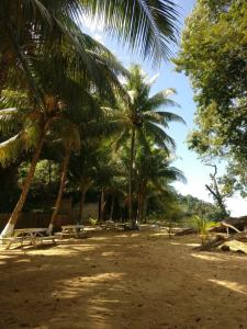 a park with palm trees and benches on a beach at Hotel Bahía in Marisco Guapinol