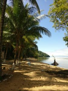 a beach with palm trees and the water at Hotel Bahía in Marisco Guapinol +11 photos