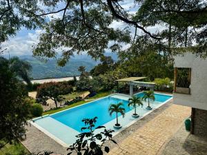 a swimming pool with palm trees next to a house at Finca Campestre Colibrí in Quebradanegra