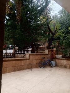a blue bike parked next to a brick wall at Flowers in Jerash +5 photos