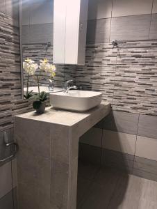 a bathroom with a sink and a mirror at Villa Oasis 3 in Kalithies
