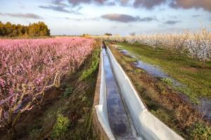 a field of pink flowers next to a road at La Casita de Val in Valdelacalzada