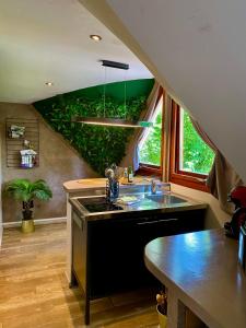 a kitchen with a sink and a green wall at Chambre avec jacuzzi ou Chalets dans les bois in Gesves