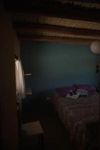 a bedroom with a bed and a blue wall at Macondo - Casas entre cerros in Tilcara