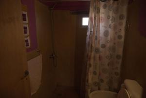 a bathroom with a shower curtain and a toilet at Macondo - Casas entre cerros in Tilcara +16 photos