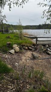 a bench sitting on the shore of a lake at Summer cottage Taipalsaari in Vehkataipale +10 photos