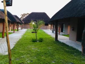 a courtyard of a building with a small tree in the grass at Pula Zone Chalets in Maun