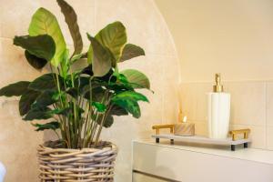 a plant in a basket on a counter in a bathroom at Golf Links Cottage - Views of Royal County Down Golf Course in Newcastle