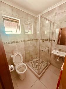 a bathroom with a shower and a toilet and a sink at Pula Zone Chalets in Maun +21 photos