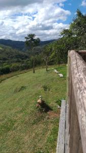 a field with a fence and a tree in the grass at Camping luz do sol in Aiuruoca +7 photos