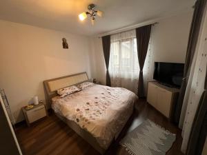 a bedroom with a bed and a flat screen tv at Casa Foltea in Călimăneşti