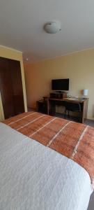 a bedroom with a bed and a desk and a television at Hotel Patagonia Insular in Quellón