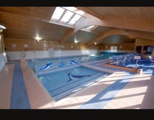 a large swimming pool with dolphins in the water at Bungalow 44 - The Norfolk Broads At Your Door in Lowestoft