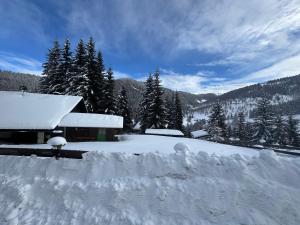 a house covered in snow with trees and mountains at Almhütte Tamberger in der Feldpann-Alm in Rauth