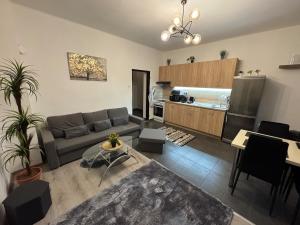 a living room with a couch and a kitchen at Apartment PMH in Veľká Mača