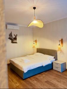 a bedroom with a bed and a light fixture at Odaia Vanatorului Transalpina in Şugag