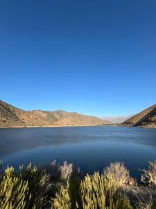 a view of a lake with mountains in the background at Cabañas Sra Mery in Quilimarí