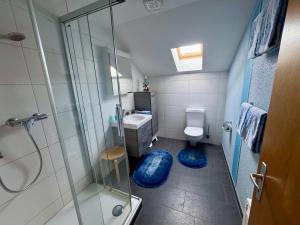 a bathroom with a shower and a toilet and a sink at Staldenried Ferienwohnung in Staldenried