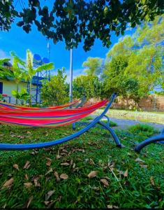 a hammock sitting in the grass under a tree at Homestay CÂY THỊ in Tây Ninh +60 photos