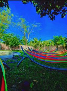 a hammock sitting on the grass in a park at Homestay CÂY THỊ in Tây Ninh