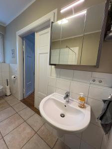 a bathroom with a sink and a mirror at Wohnen in der ehemaligen Bauernstube in Treia +44 photos