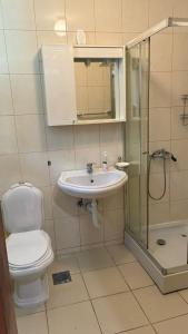 a bathroom with a toilet and a sink and a shower at Apart Ludmila in Bečići +123 photos