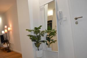 a plant in a room next to a mirror at Modernes Dachgeschoss in Augsburg +8 photos