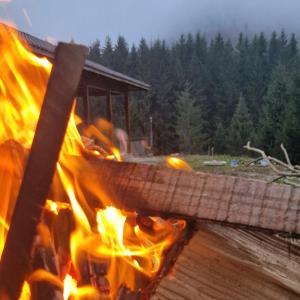 a fire pit with flames in front of a forest at La Olivia în Pădure in Tihuţa